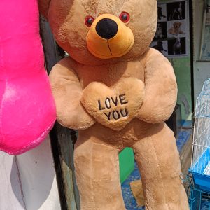 Teddy